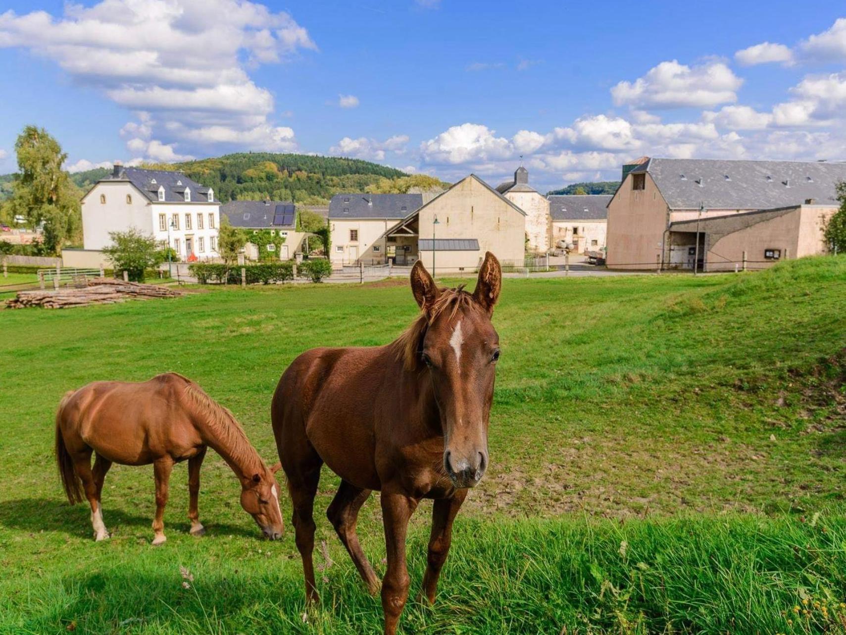 Cottage House Weyer - Mare&Filly Room Екстериор снимка